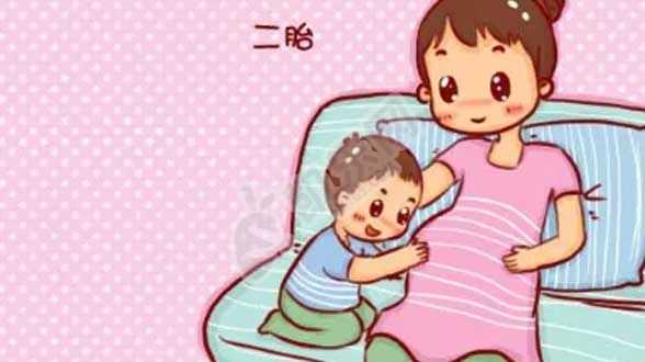 在天津做试管婴儿流程，成功率可透露吗？